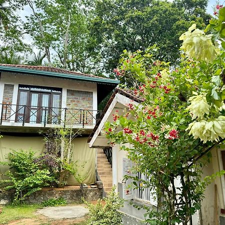 Dosemo Cabana Induruwa Luaran gambar